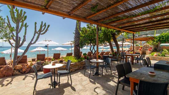 The snack bar at Efrosini hotel in Sifnos