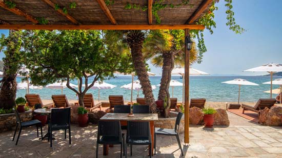 Snack-bar et cour pavée à l'hôtel Efrosini à Sifnos